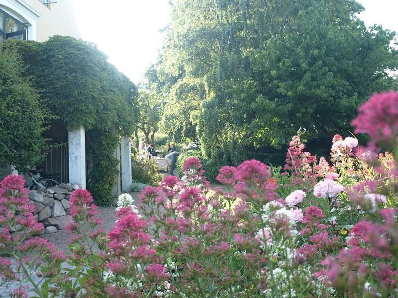 Danchelshus Bed & Breakfast Allinge-Sandvig ภายนอก รูปภาพ